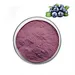 Blueberry powder flavor